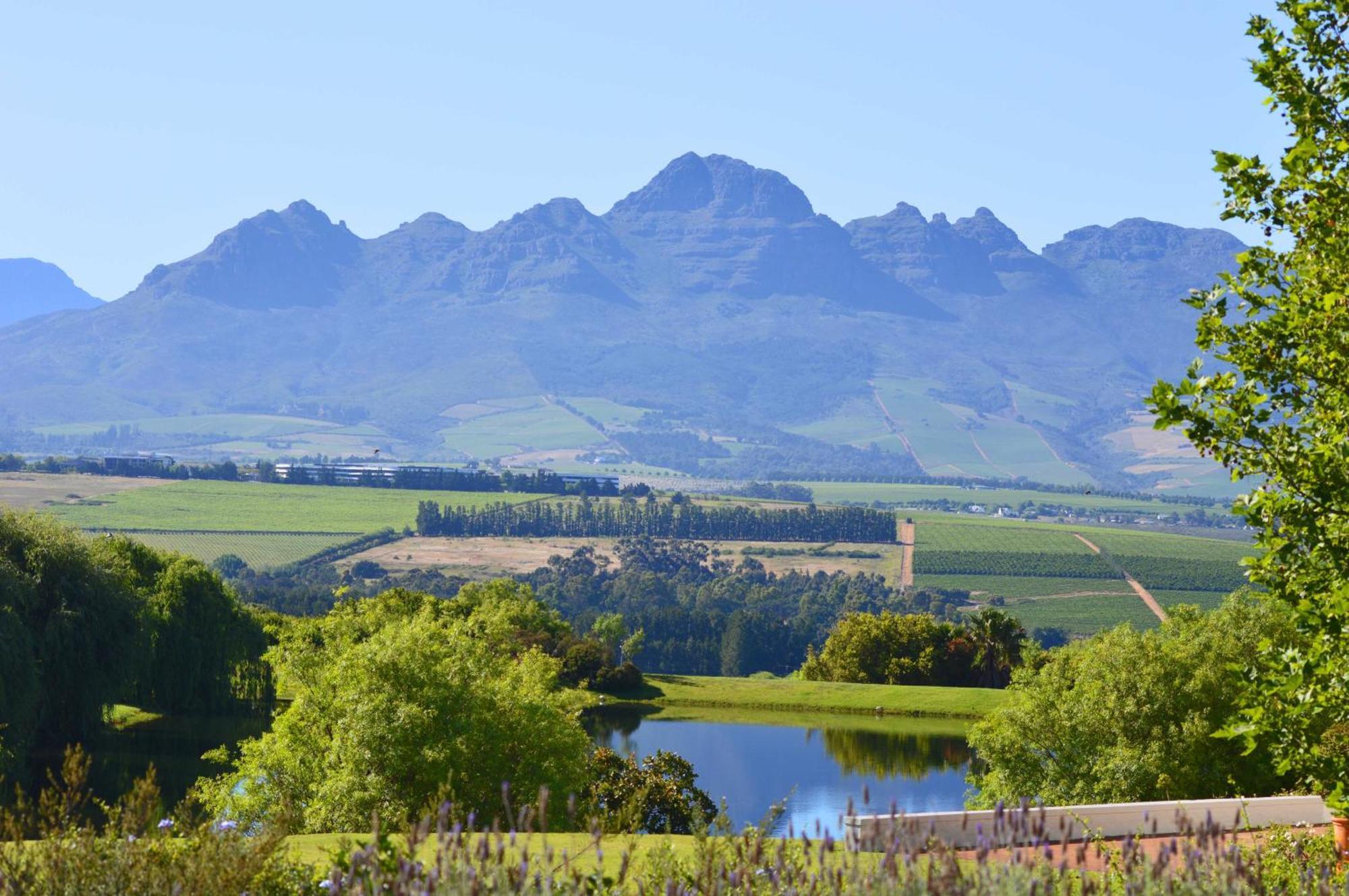 Asara Wine Estate & Hotel Stellenbosch Exteriér fotografie